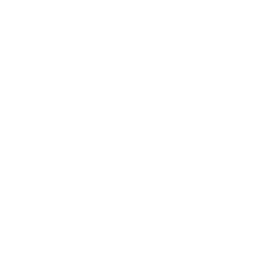 Logo El Nou Ramonet